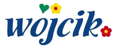 wojcikonline.com